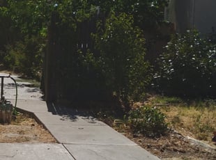 Cleanups by Dale Groehler for Nicholas M. in Antelope, CA