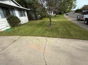 Verna T.'s Lawn Service service result