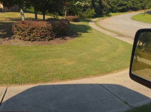 Geri J.'s Lawn Mowing service result