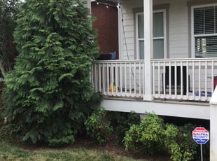 Bush Trimming by Daniel Shaw for Shannon E. in Nashville, TN