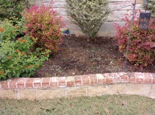 Weeding by Jason Salazar for Tiffany J. in San Antonio, TX
