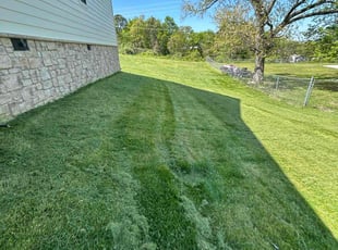 Jacquie S.'s Lawn Service service result