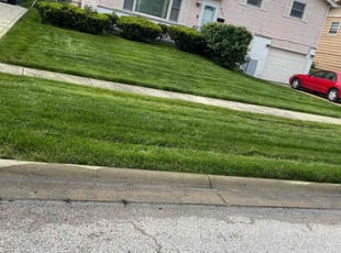 Vicki R.'s Lawn Mowing service result