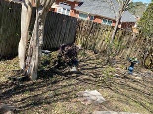 Cleanups by Richard Carpenter for Aurora V. in Evans, GA