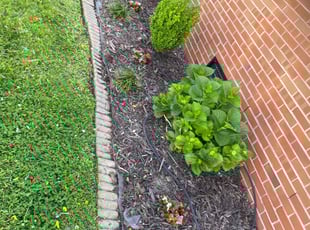 Landscaping by Brandon Russell for Celeste N. in Portsmouth, VA
