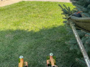 Leslie R.'s Lawn Service service result