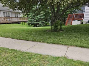 Theresa D.'s Lawn Mowing Service service result