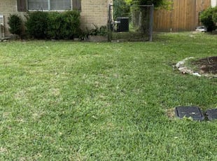 David T.'s Lawn Care service result