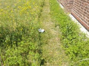 Cleanups by Brian Orozco for Venecia R. in Fate, TX