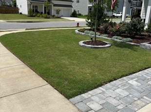 Nancy I.'s Lawn Mowing service result