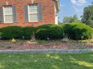 Bush Trimming by Patrick Vandermierden for Lenora C. in Florissant, MO