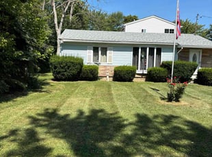 Ann W.'s Lawn Mowing service result
