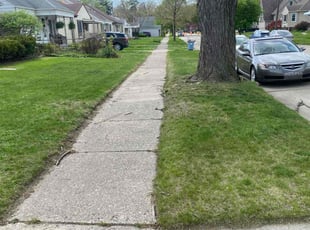 Mary, S.'s Lawn Mowing Service service result