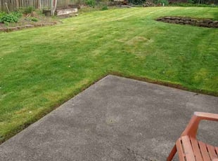 Suzanne S.'s Lawn Mowing Service service result