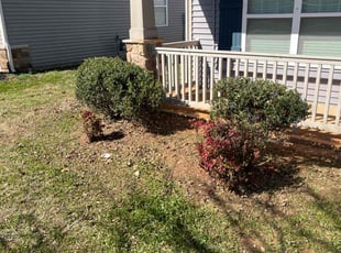 Bush Trimming by Ronald Martin for Will B. in Charlotte, NC
