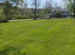 William E.'s Grass Cutting service result