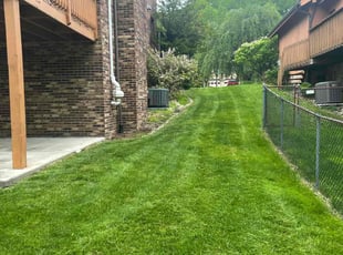 Vasila M.'s Yard Cutting service result