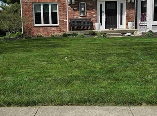 Amanda M.'s Lawn Service service result