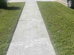 Belinda R.'s Yard Cutting service result