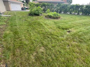 Linda C.'s Grass Cutting service result