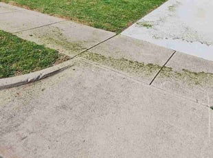Wallon K.'s Lawn Service service result