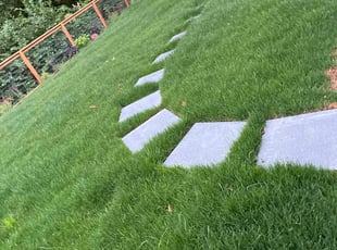 Sue H.'s Lawn Mowing service result