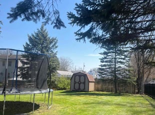 Crista P.'s Lawn Care service result
