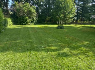 Erica W.'s Lawn Mowing service result