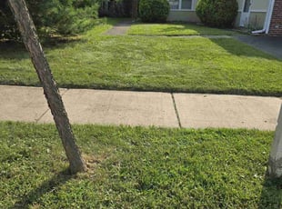 Jerry H.'s Yard Cutting service result