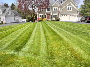 Theresa B.'s Lawn Service service result