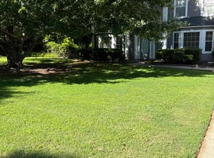 Maisie C.'s Lawn Service service result