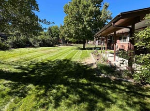 Ellen S.'s Grass Cutting service result