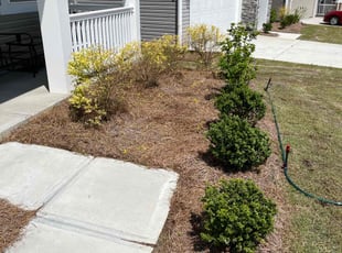 Derek J.'s Flower Bed Weeding service result