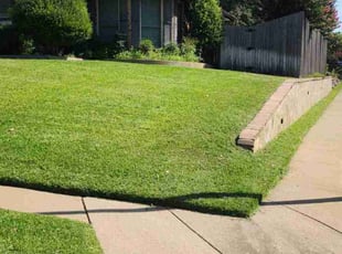Kevin M.'s Yard Cutting service result