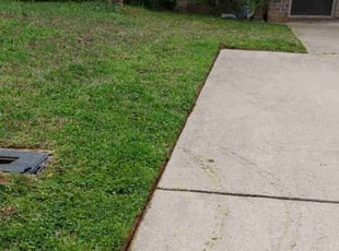 CHERYL G.'s Lawn Mowing service result