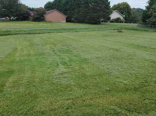 Ben C.'s Lawn Care service result