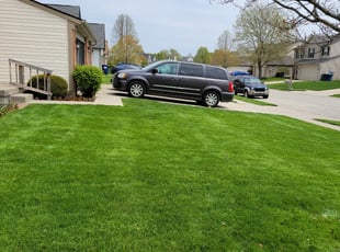 Charles M.'s Lawn Mowing service result