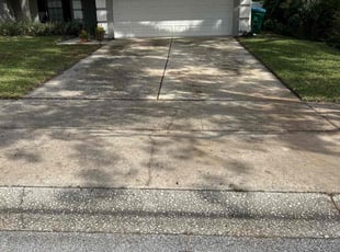 Susan R.'s Yard Cutting service result