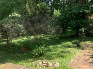 Bush Trimming by Jamil Simpson for Cassandra J. in Decatur, GA