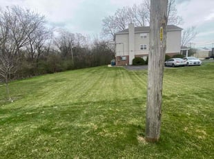 Kim K.'s Lawn Mowing service result