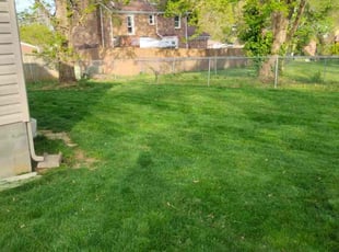 Andrew u.'s Yard Cutting service result