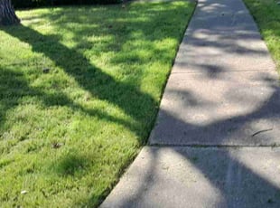 Ralph M.'s Lawn Mowing service result
