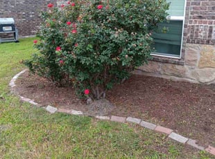 Weeding by Cesar Colchado for Kyle D. in Hutto, TX