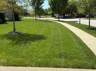 Jason F.'s Grass Cutting service result