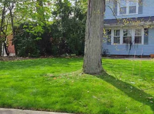 Vickie S.'s Lawn Maintenance service result