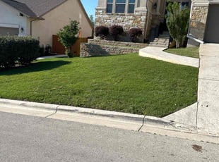 Renee N.'s Lawn Maintenance service result