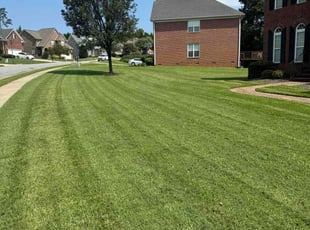 Tom M.'s Lawn Mowing Service service result