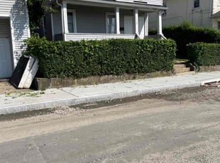 Bush Trimming by Yvens Borno for Sammi J. in Bridgeport, CT