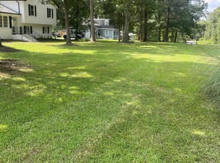 Krista C.'s Lawn Mowing Service service result