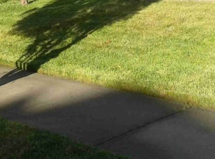 Nick K.'s Lawn Mowing Service service result